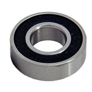 AST NUP2218 EM cylindrical roller bearings